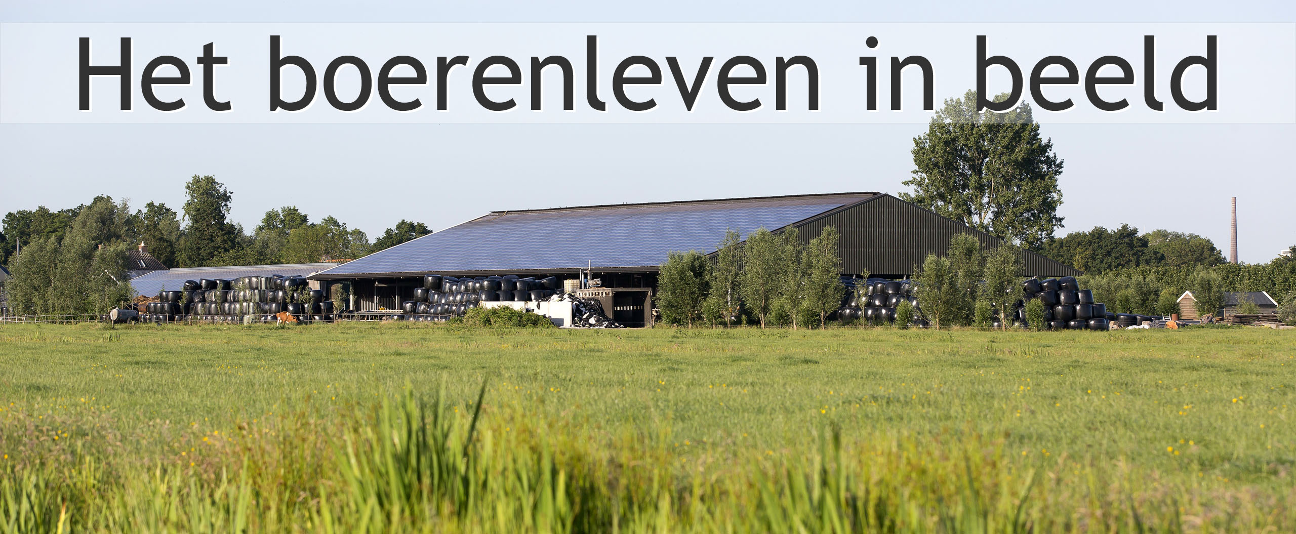 boerderij boerbert