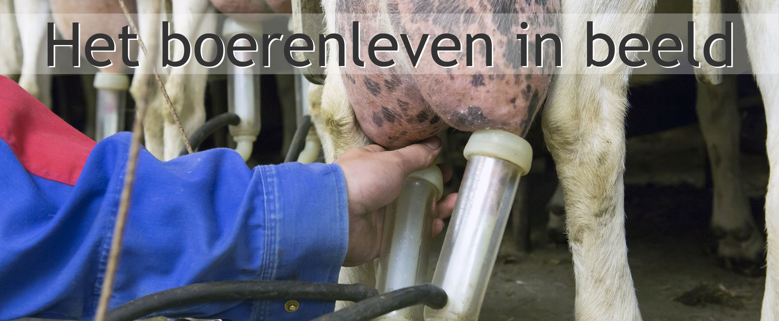 biologische geiten melken