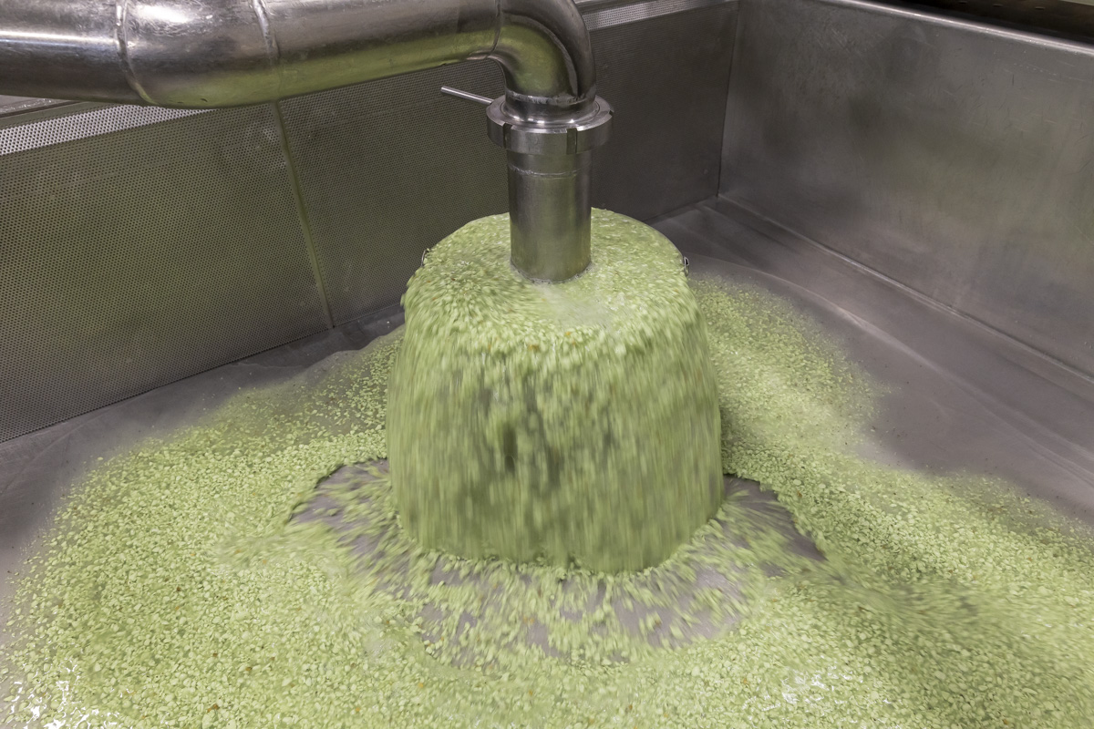 kaasmakerij kruidenkaas maken