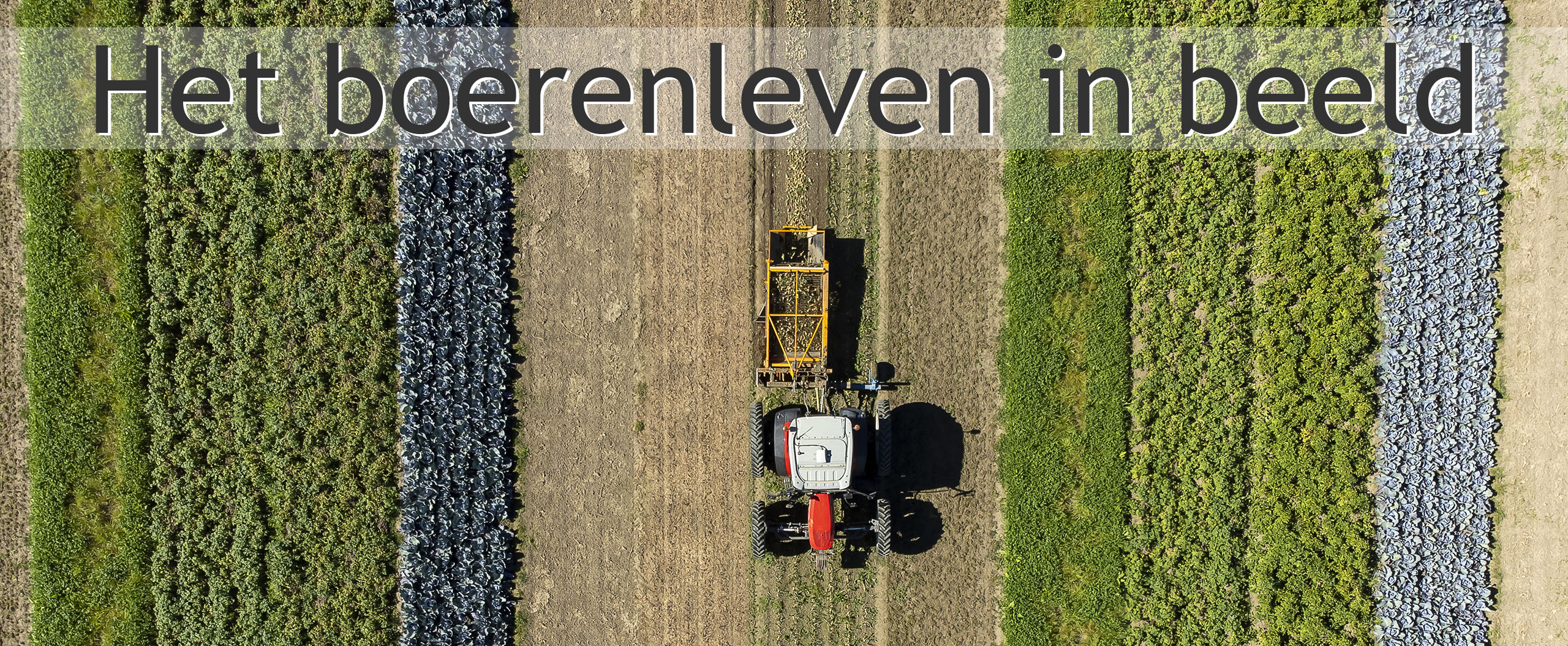 biologisch strokenteelt