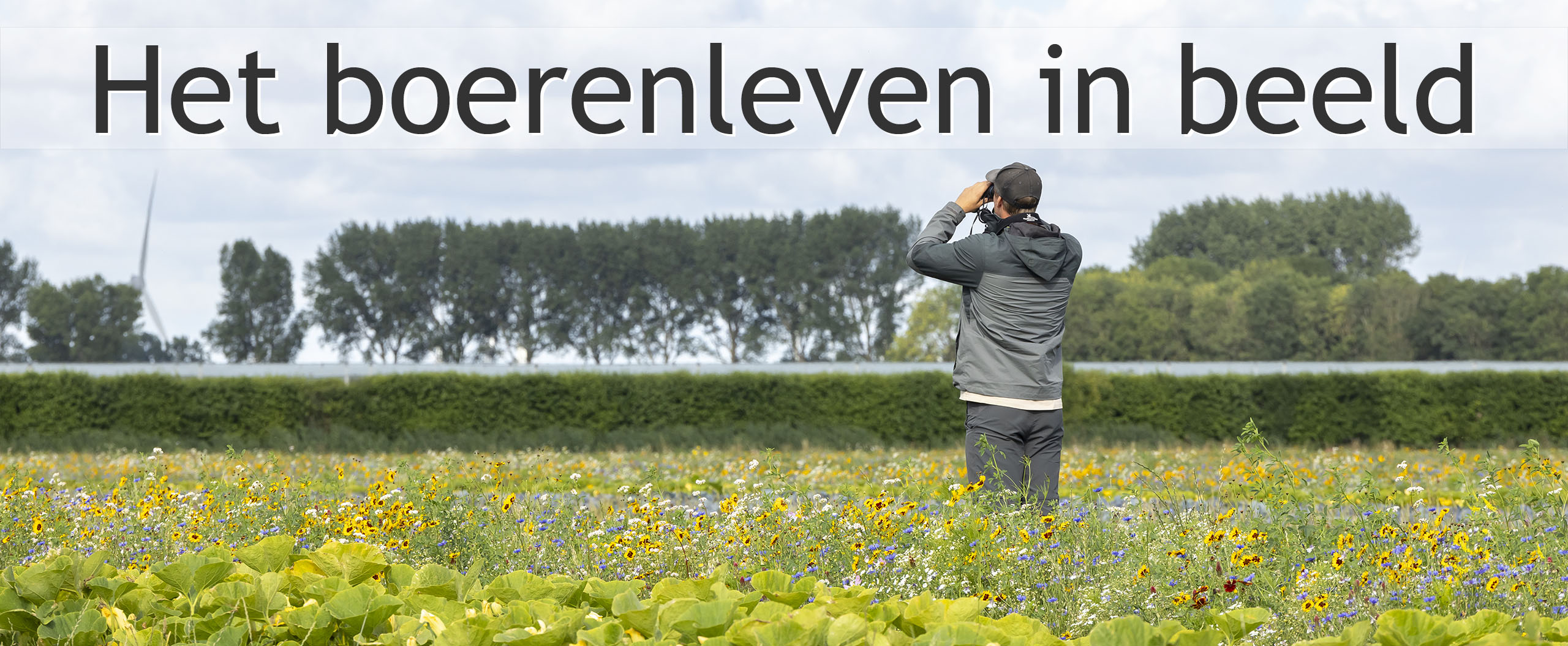 akkerbouwbedrijf bi-jovira