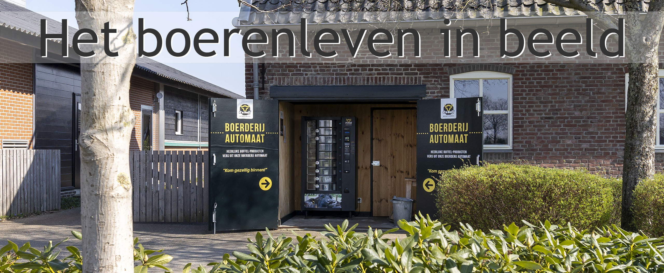 waterbuffelboerderij boxtel